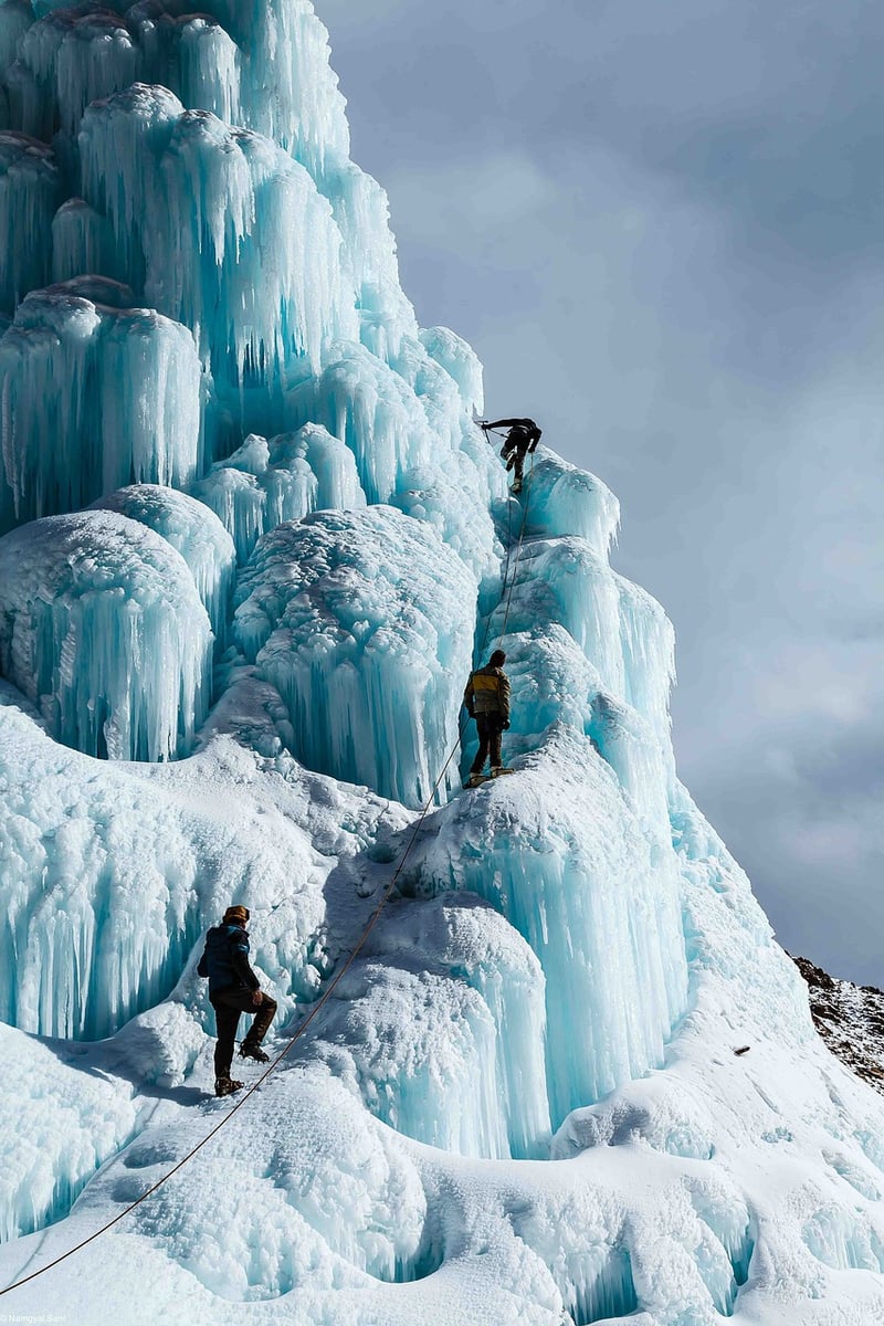 Wilderness Expeditions
